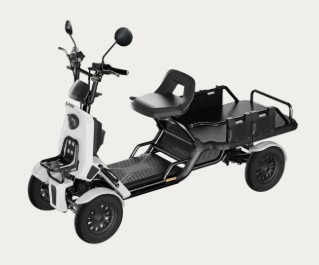 BLAZE e-CARGO