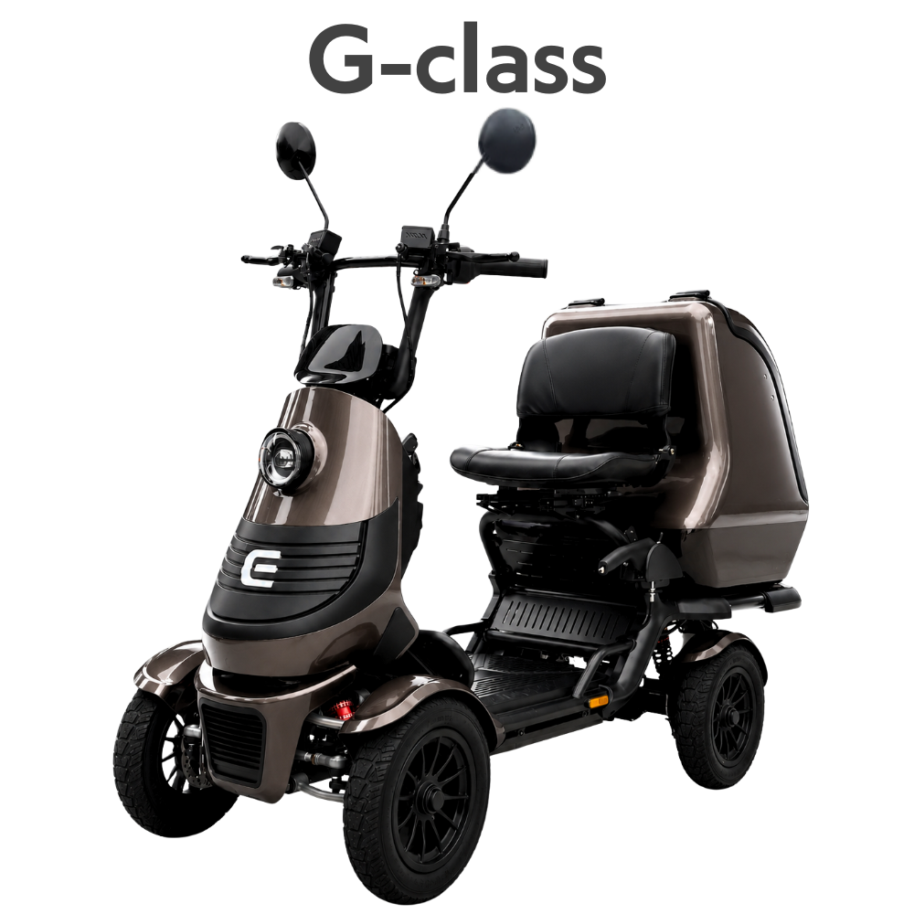 ELEGRAN G-classの実車