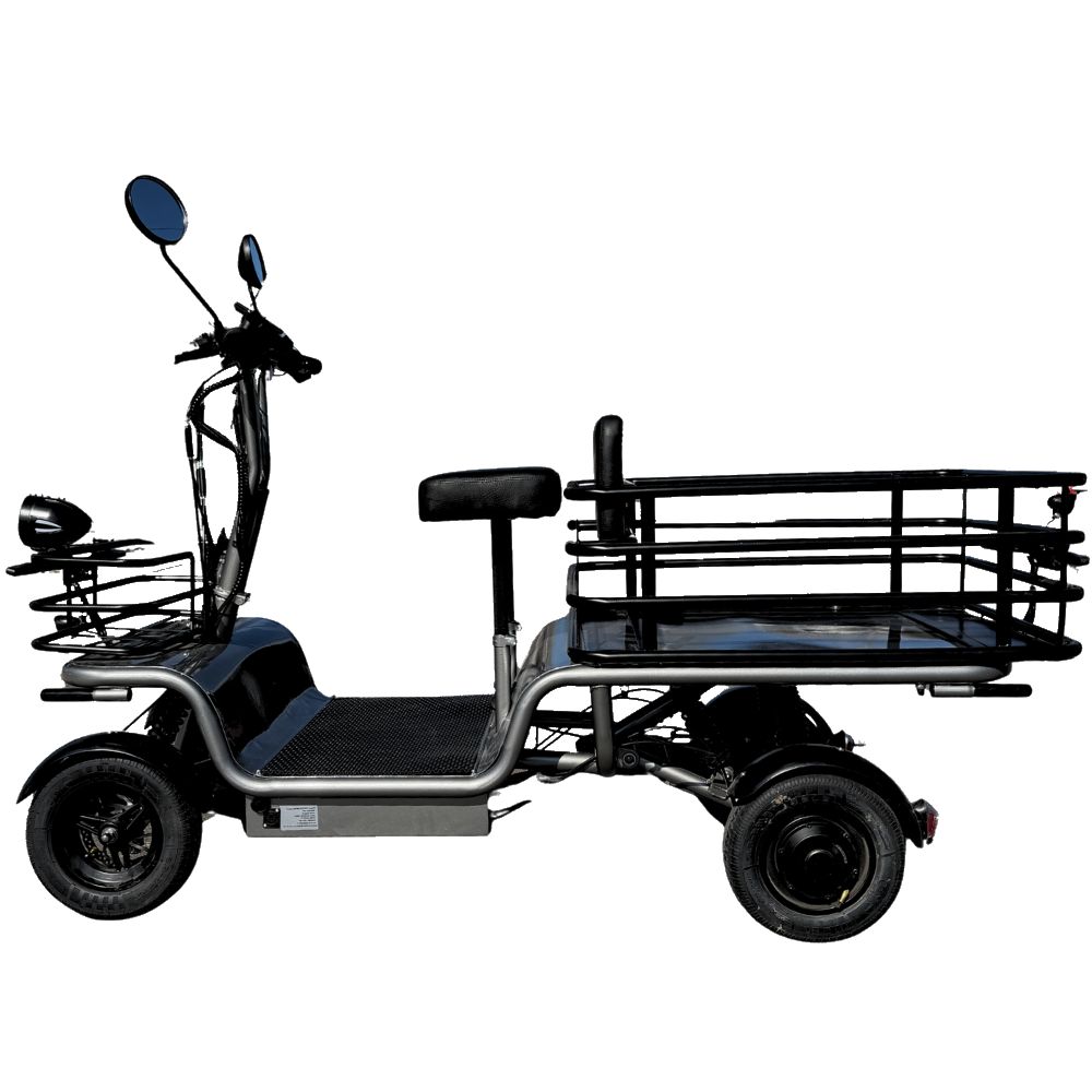 エレカーゴ フルロングの実車
